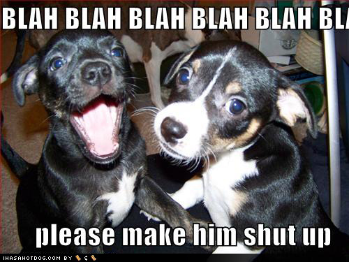 cute-puppy-pictures-blah-blah-talking.jpg